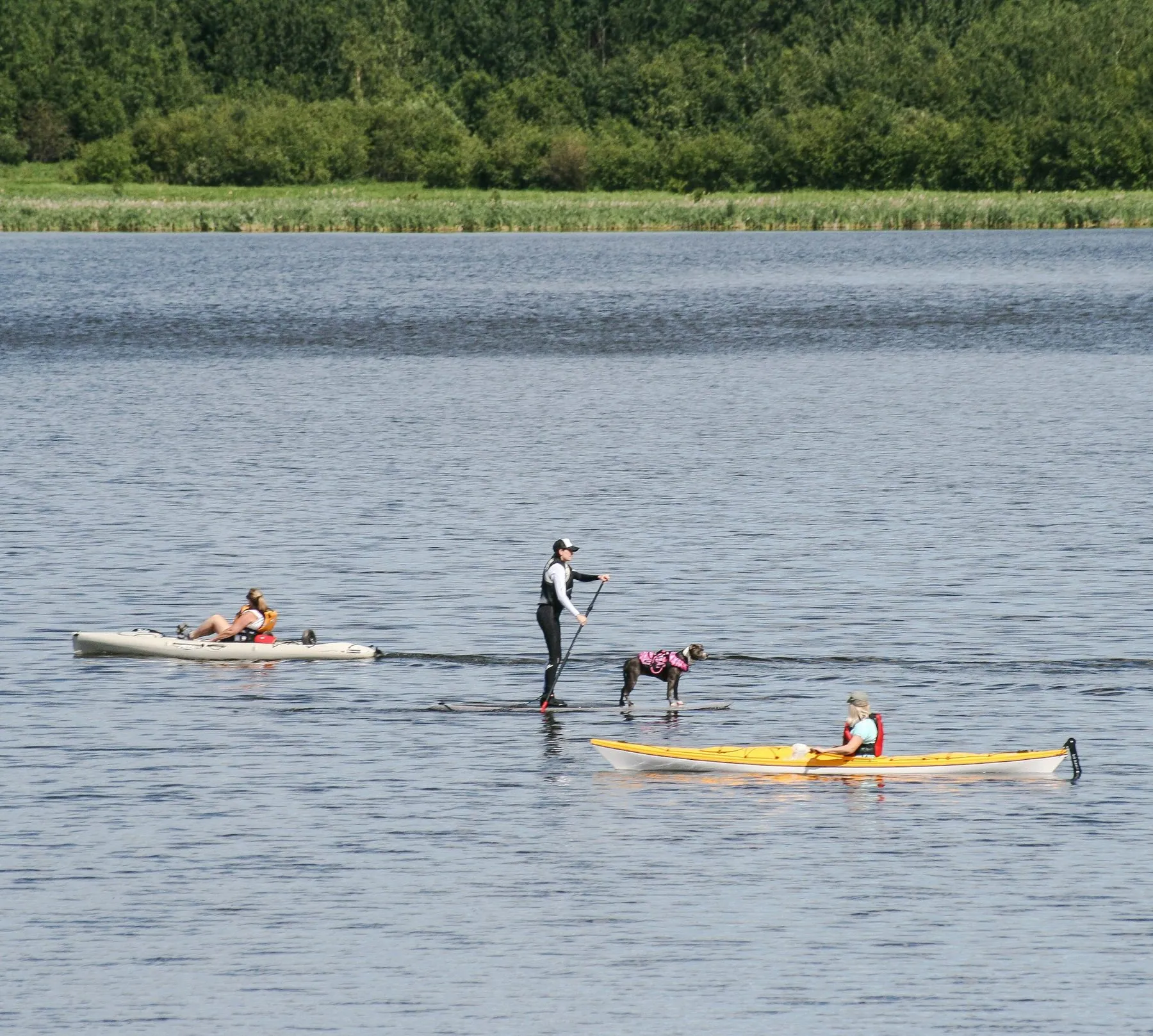 People paddleboarding and kayaking on a lake with a dog
